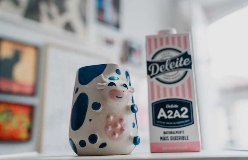 Descubrimos o novo fogar das vaca-xerriñas